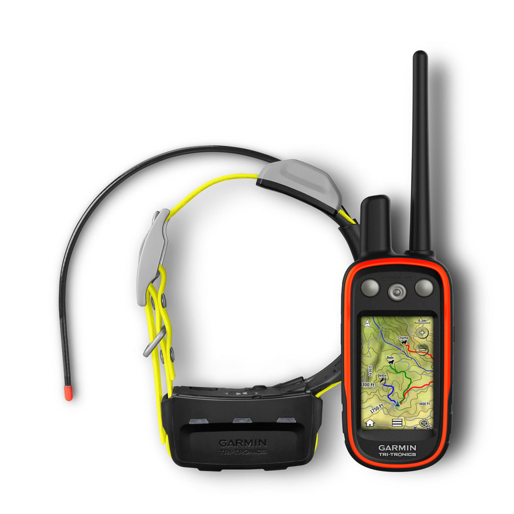 garmin instinct dog tracker